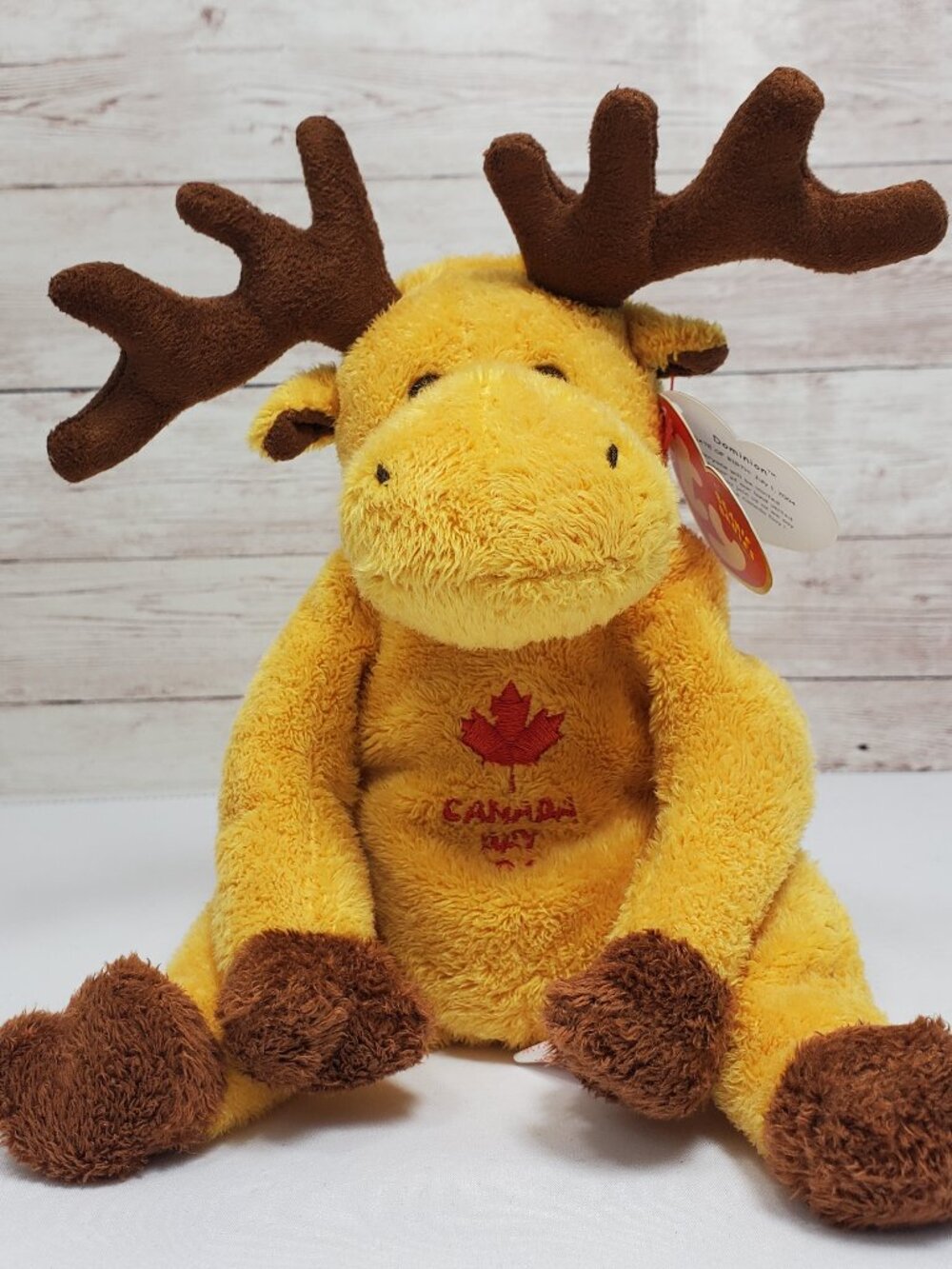 TY Beanie Baby - DOMINION the Canadian Moose Day 4